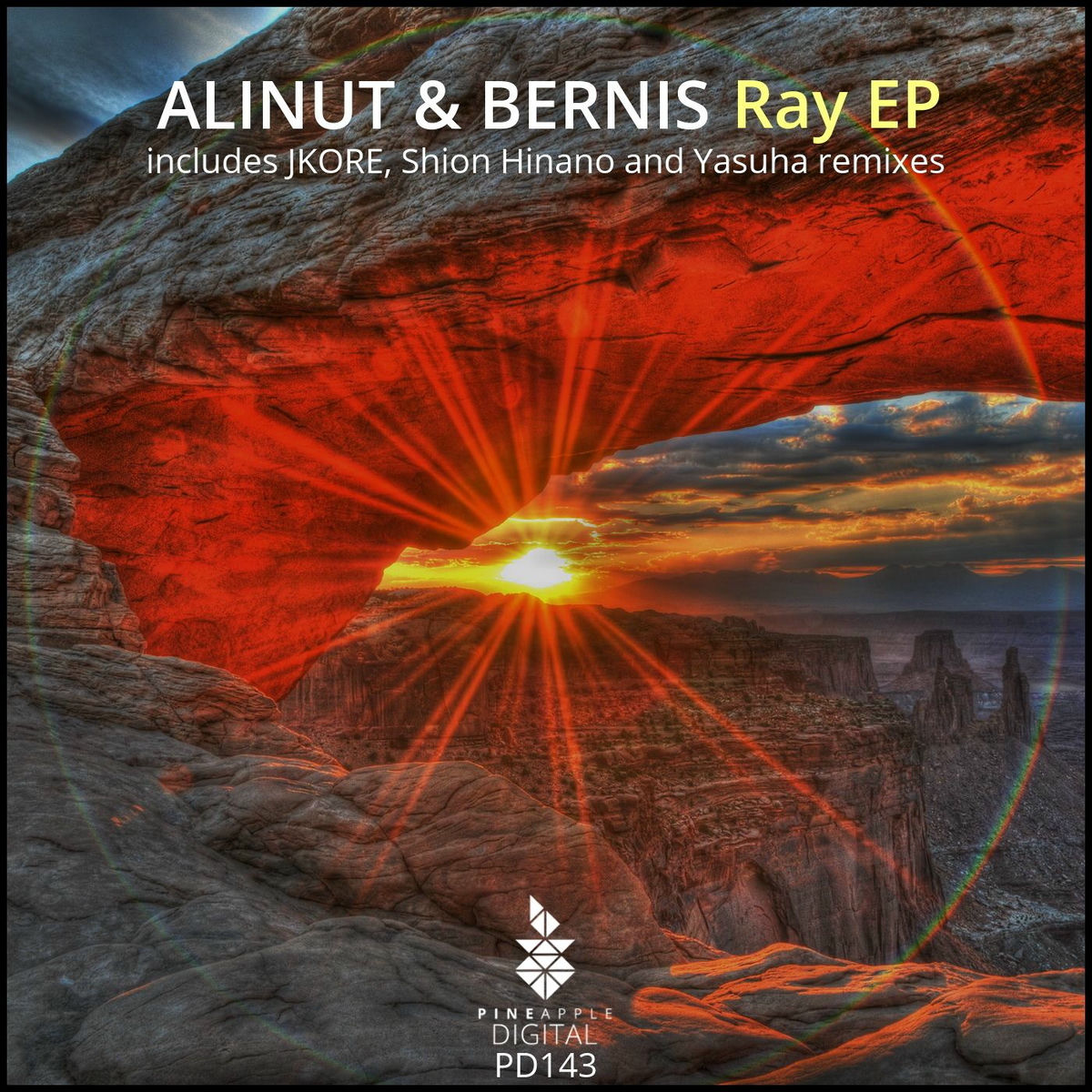 Album cover of Ray