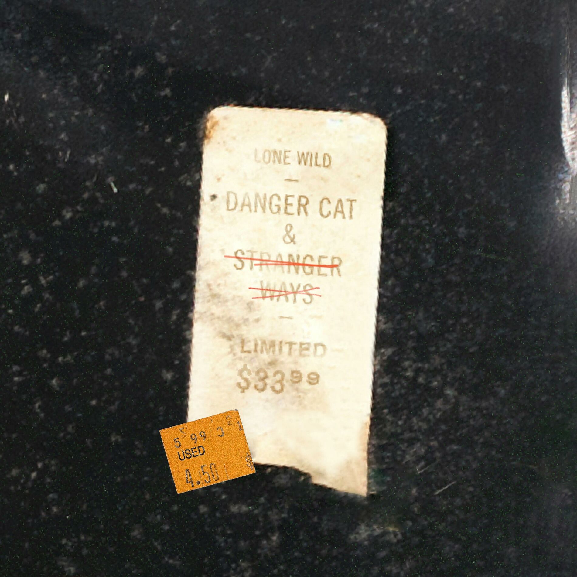 Album cover of Danger Cat (Live)