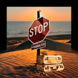 Cover of Stop