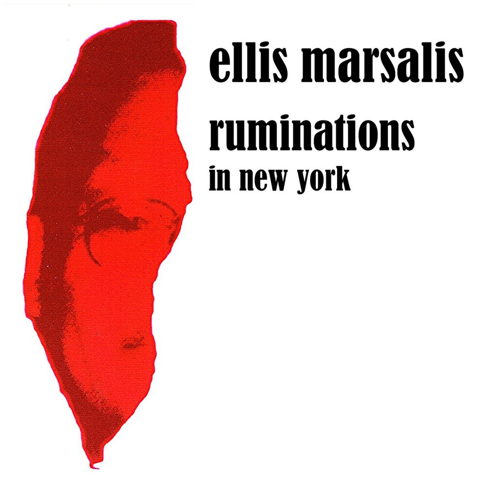 Picture of Ruminations in New York