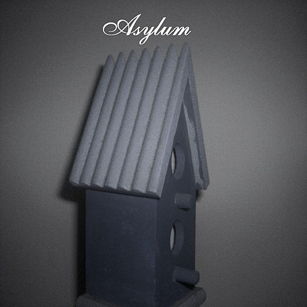 Picture of Asylum