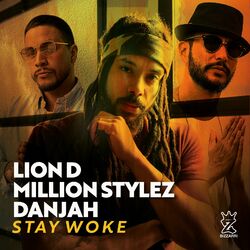 Cover of Stay Woke