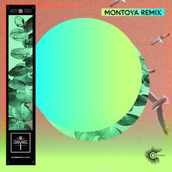 Cover of Caña (Montoya Remix)