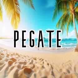 Cover of PEGATE