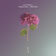 Darling by Eric Luttrell album cover