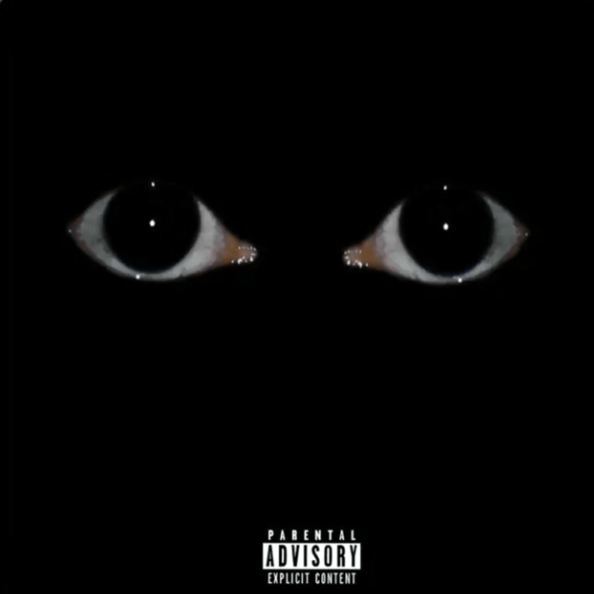 Album cover of Real Deal Geekerz (feat. 1800PUSHA, Yung Trixx, Huey & Jiggy) [Remix]