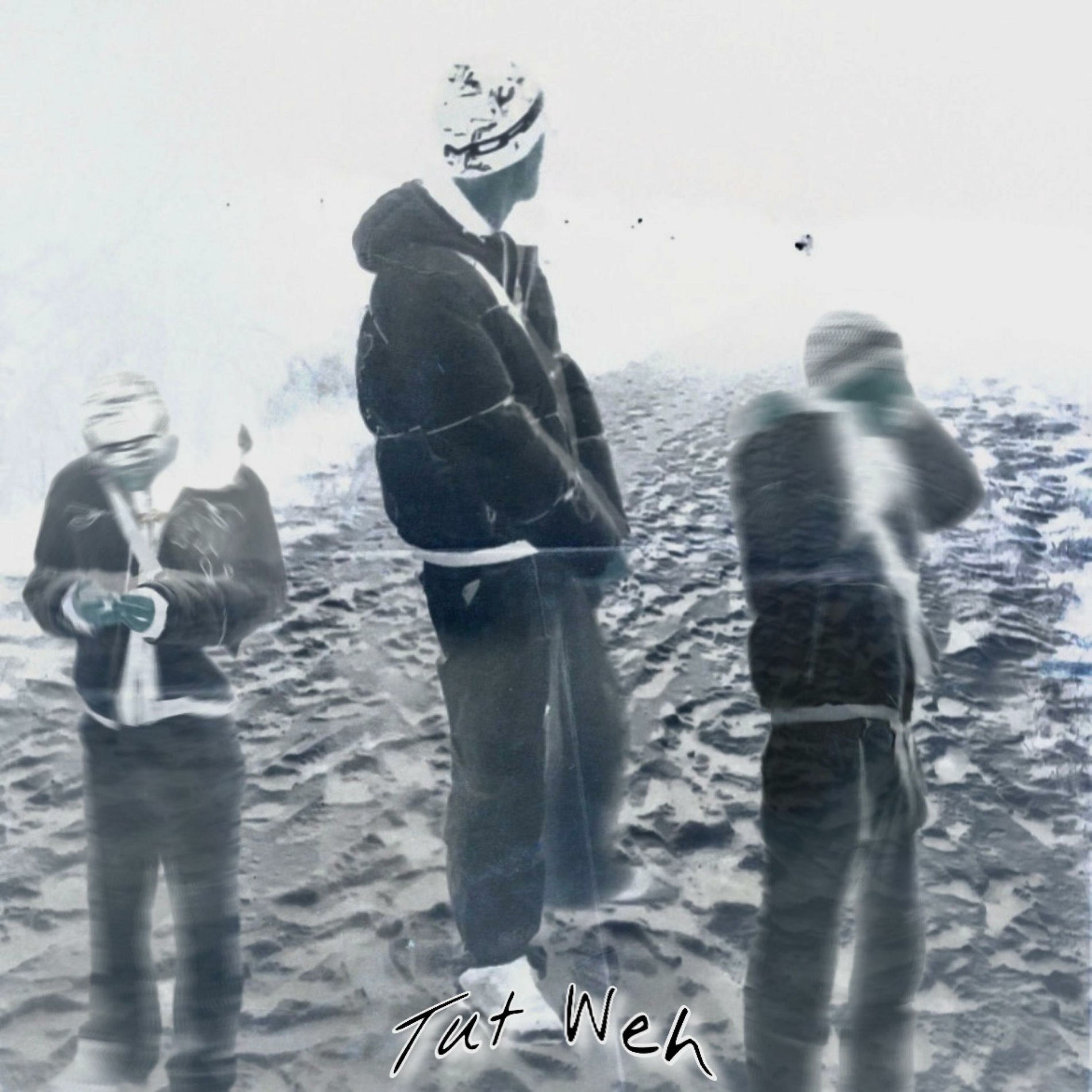 Album cover of Tut Weh (feat. majin wav)