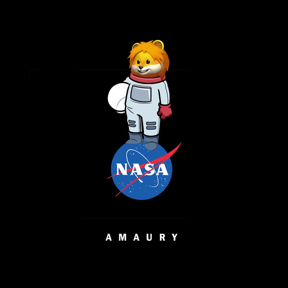 Picture of Nasa