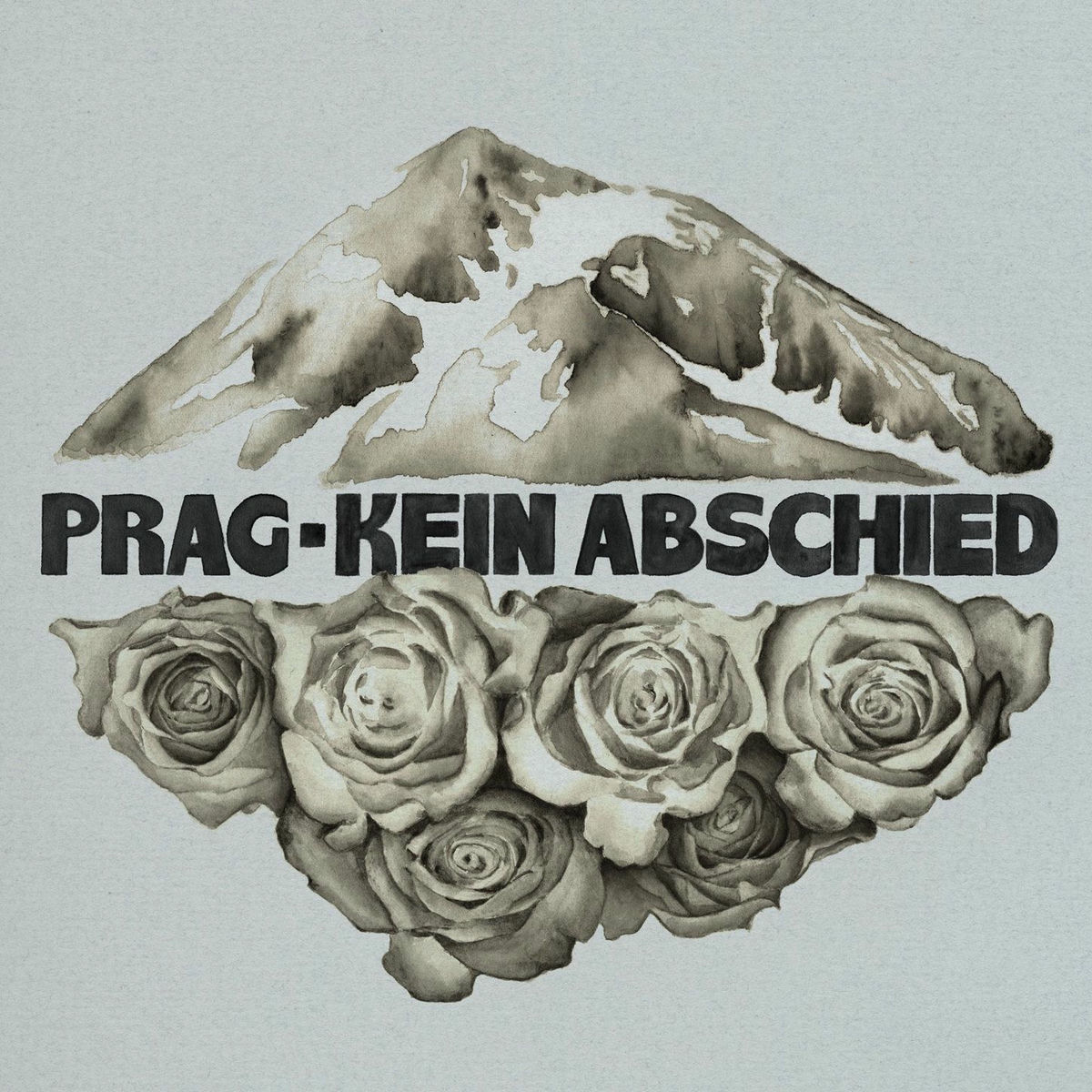 Album cover of All die Narben
