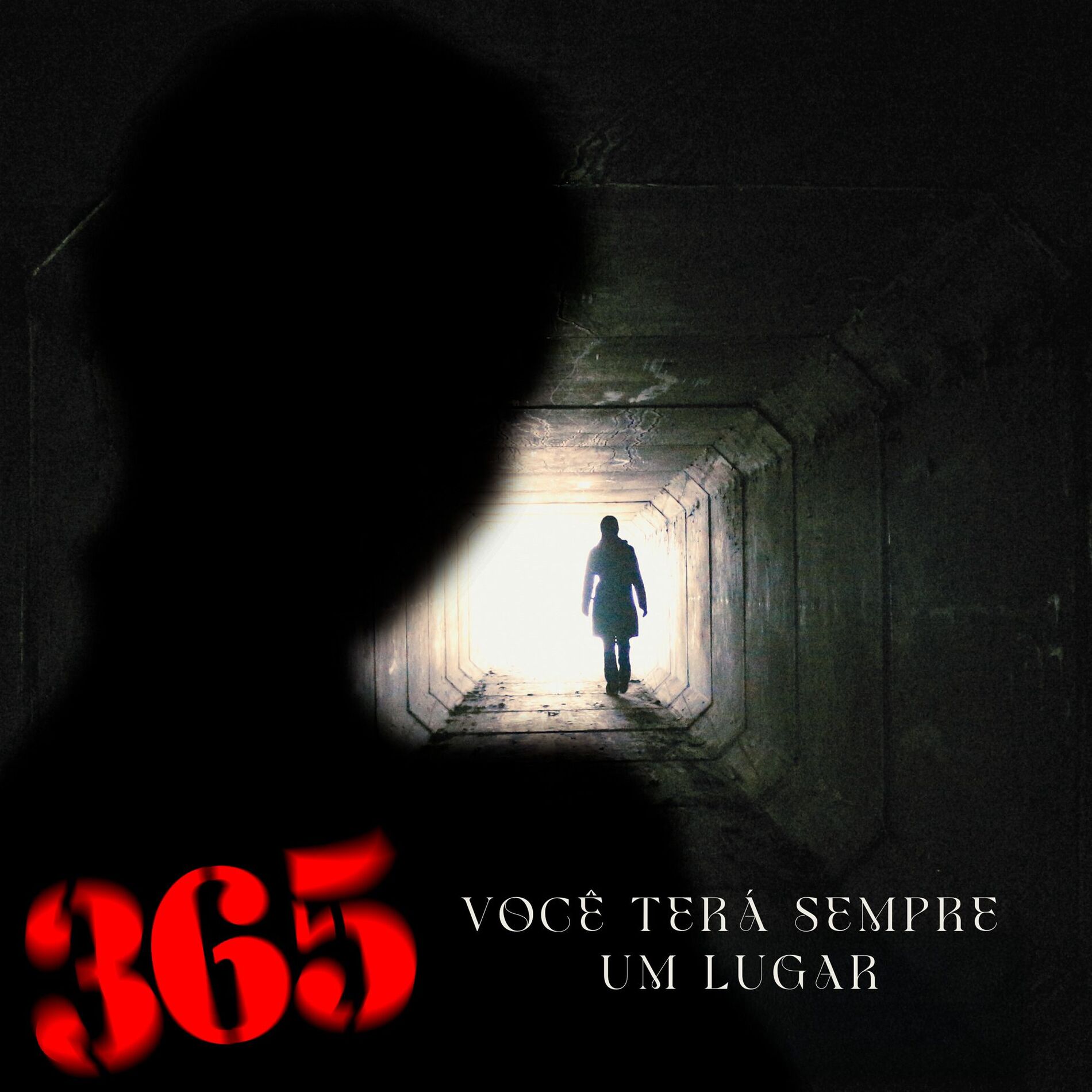 Album cover of Você Terá Sempre Um Lugar