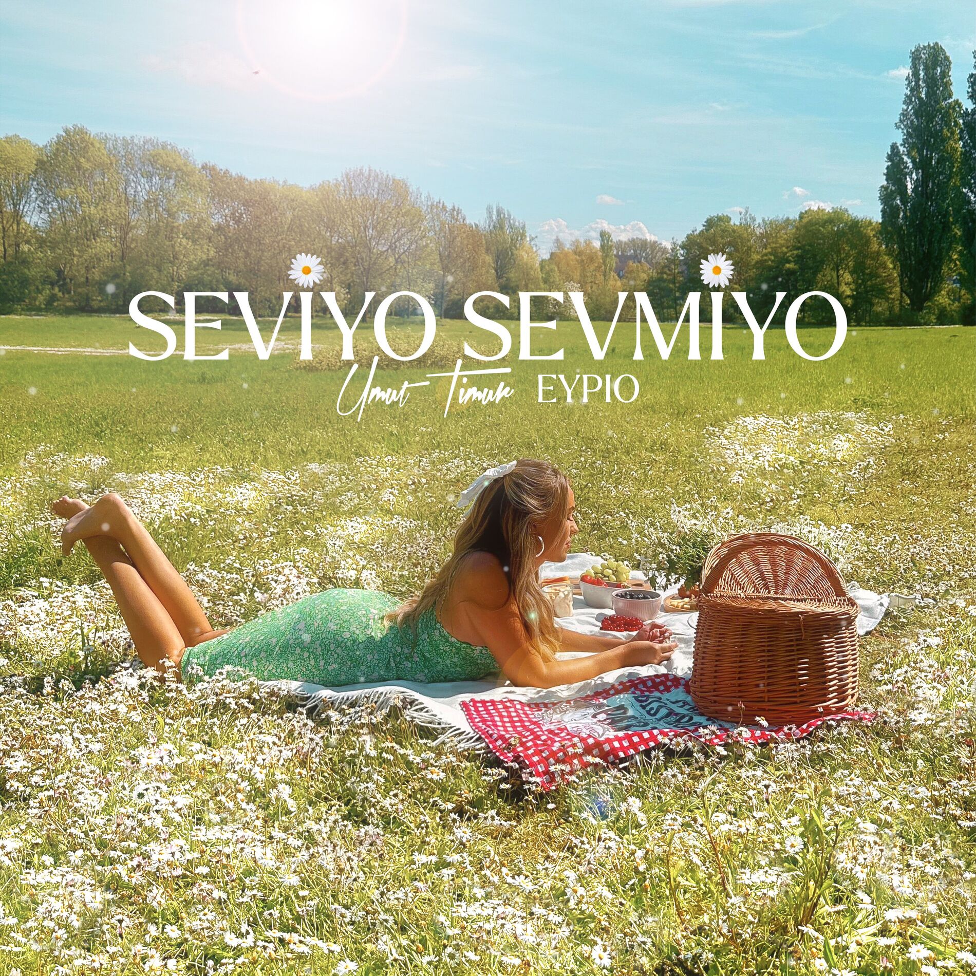 Album cover of Seviyo Sevmiyo