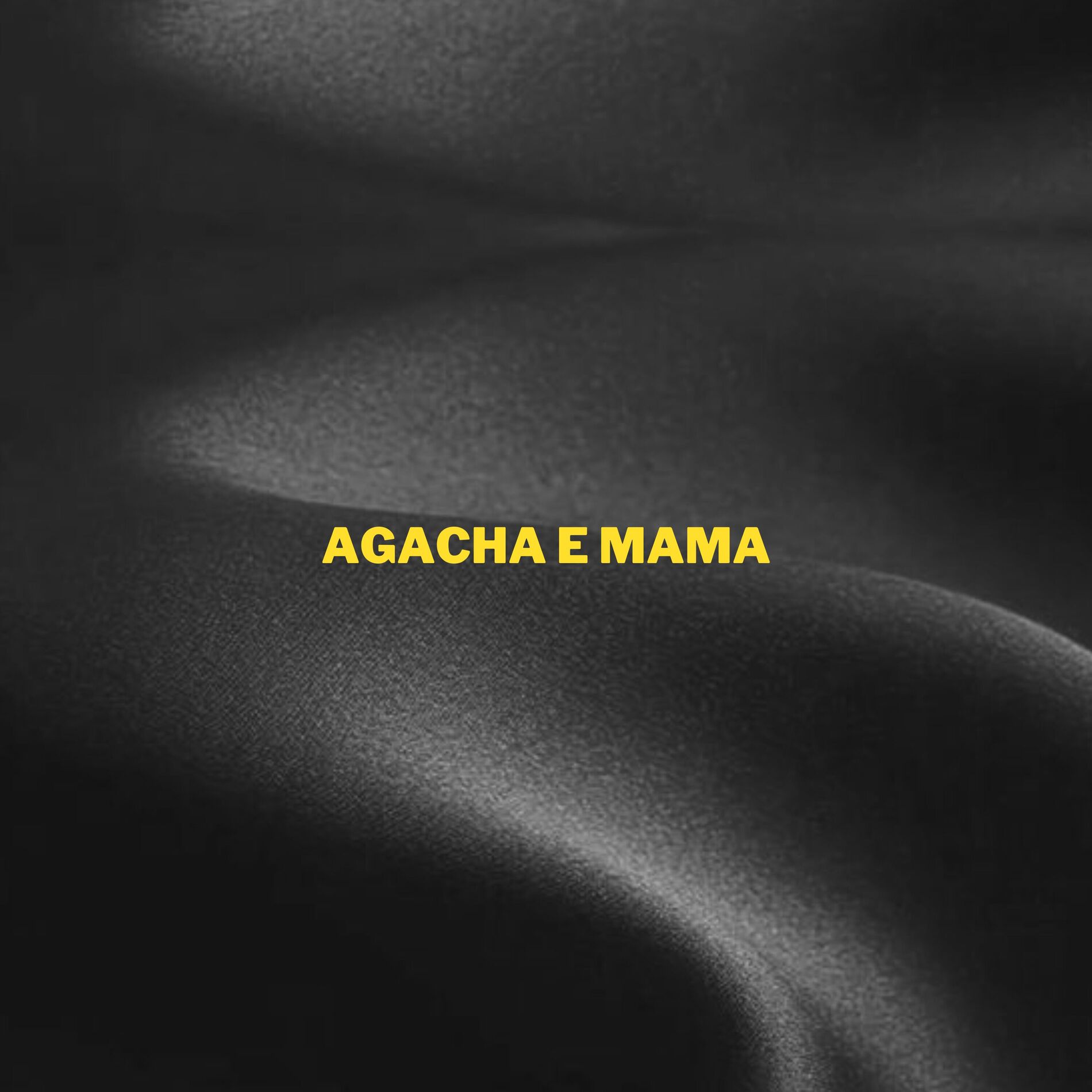 Album cover of Agacha e Mama
