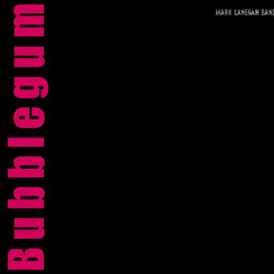 Cover of Bubblegum