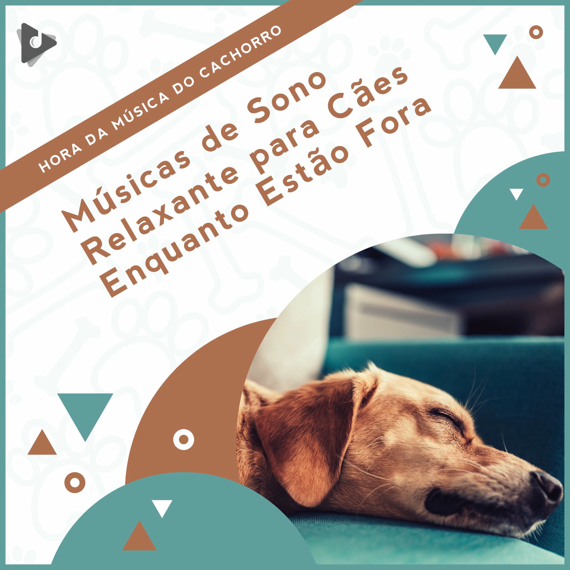 Album cover of Músicas de Sono Relaxante para Cães Enquanto Estão Fora