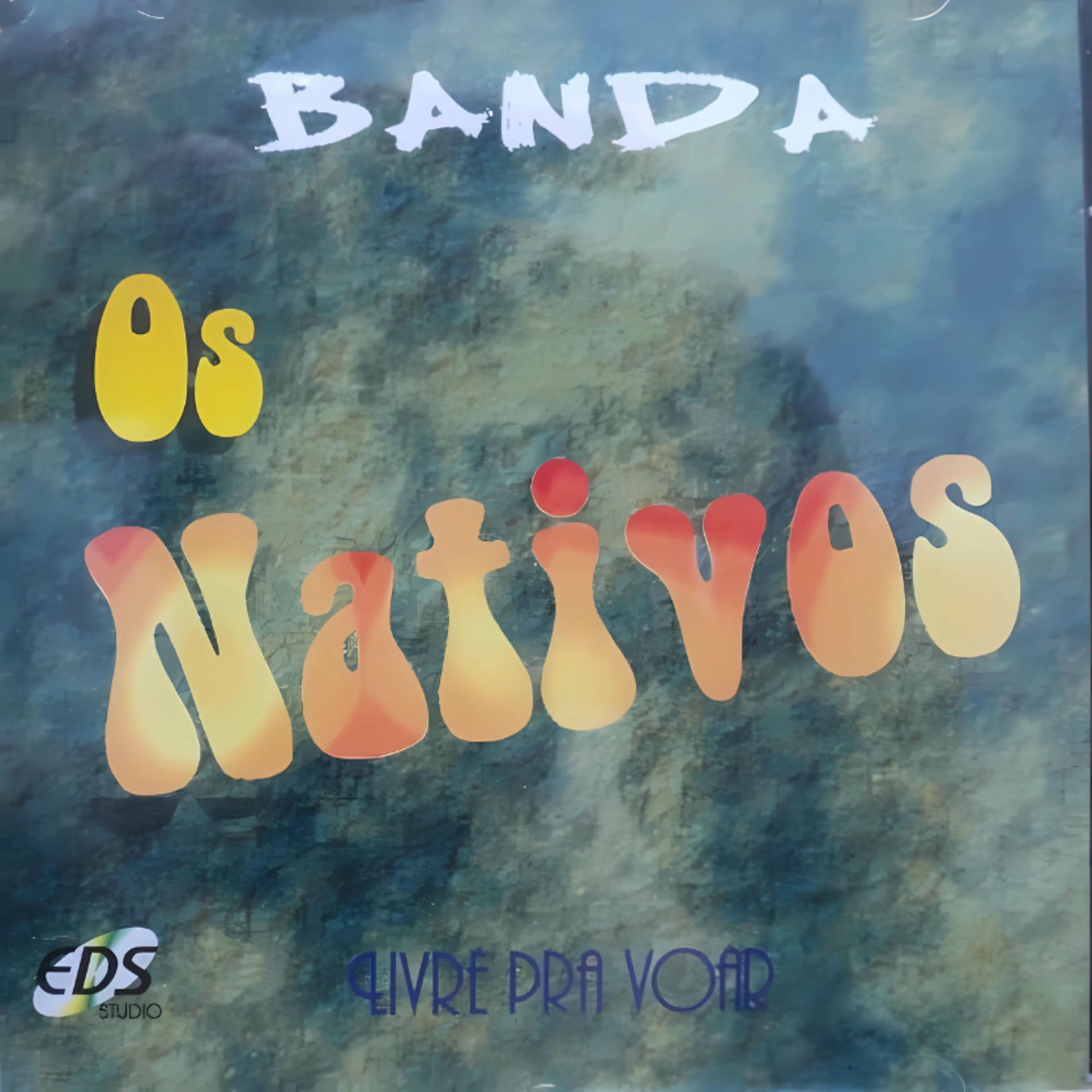 Album cover of Livre pra Voar