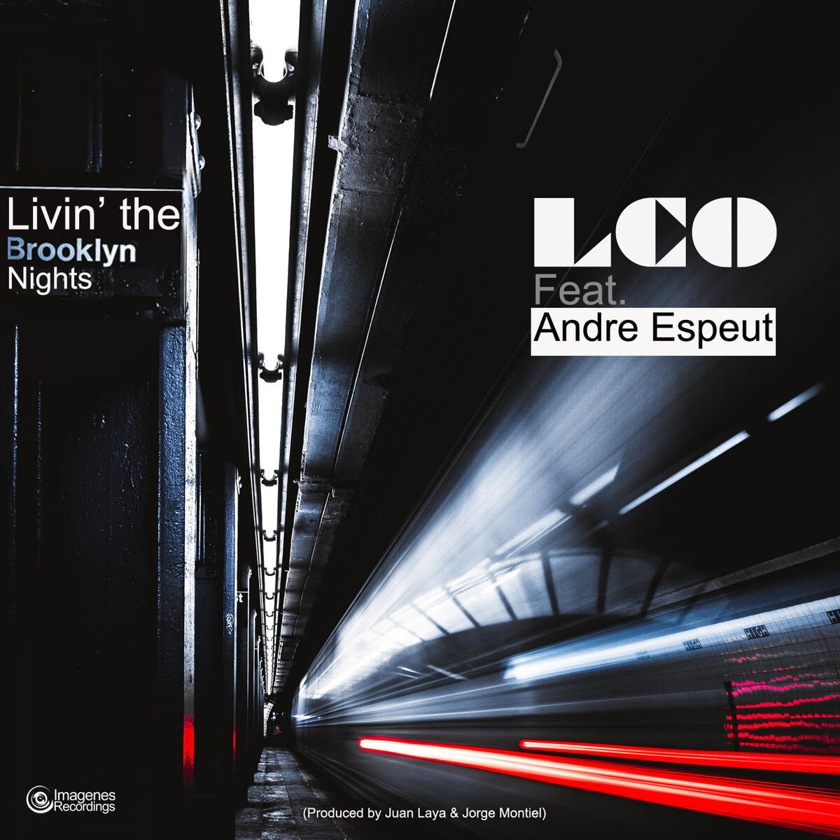 Album cover of Living the Brooklyn Nights