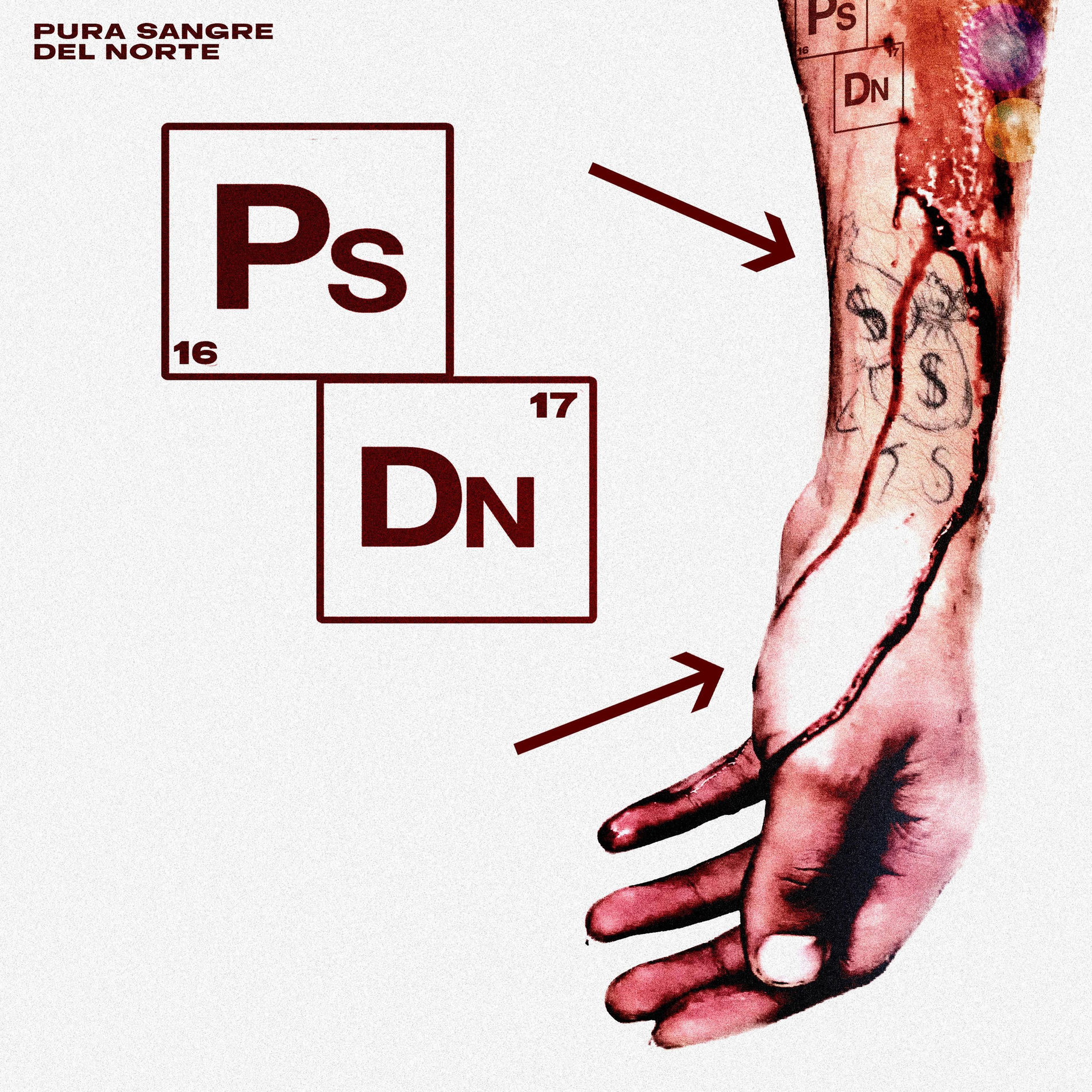Album cover of Pura Sangre Del Norte