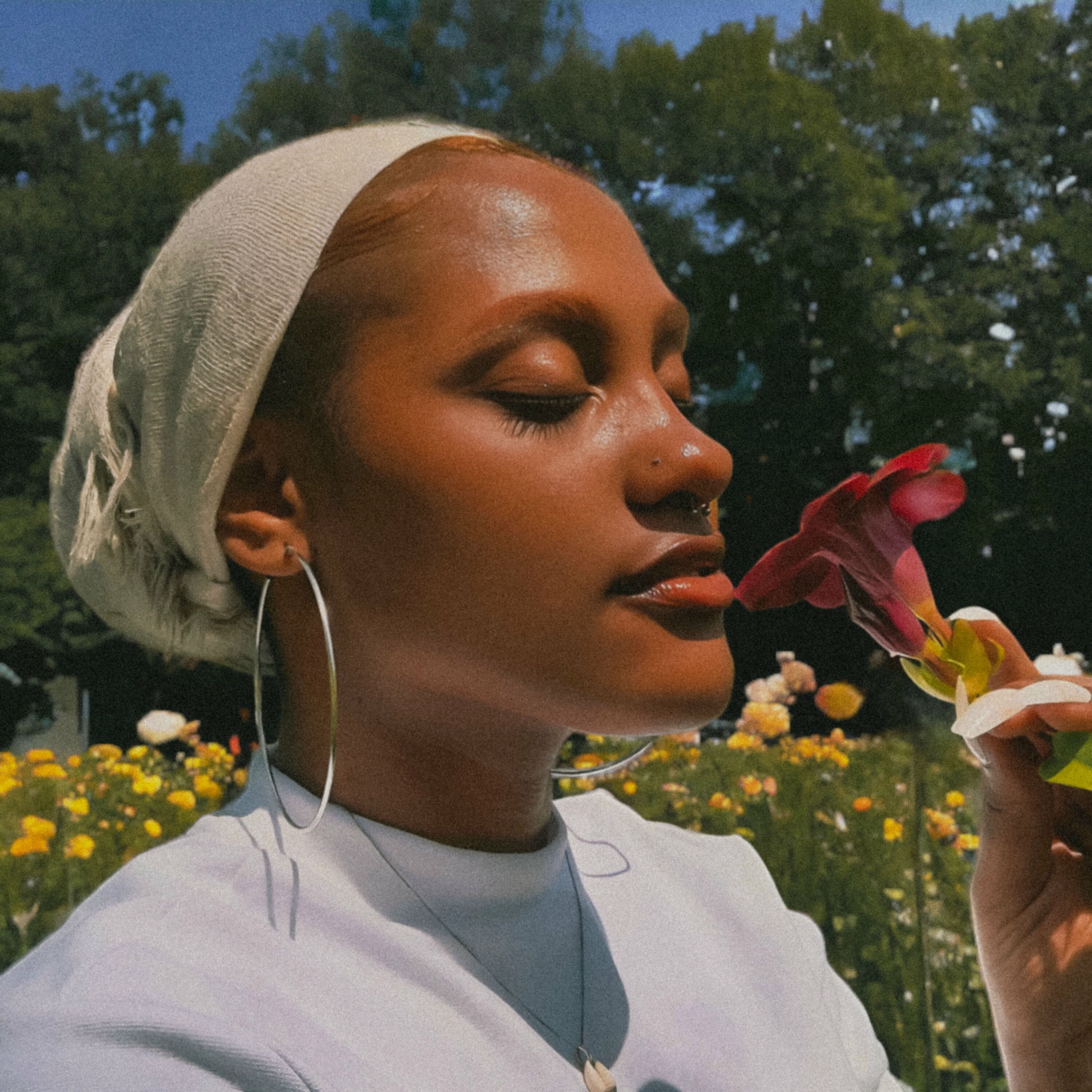 Album cover of Entorpecer