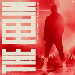 Cover of The Feelin