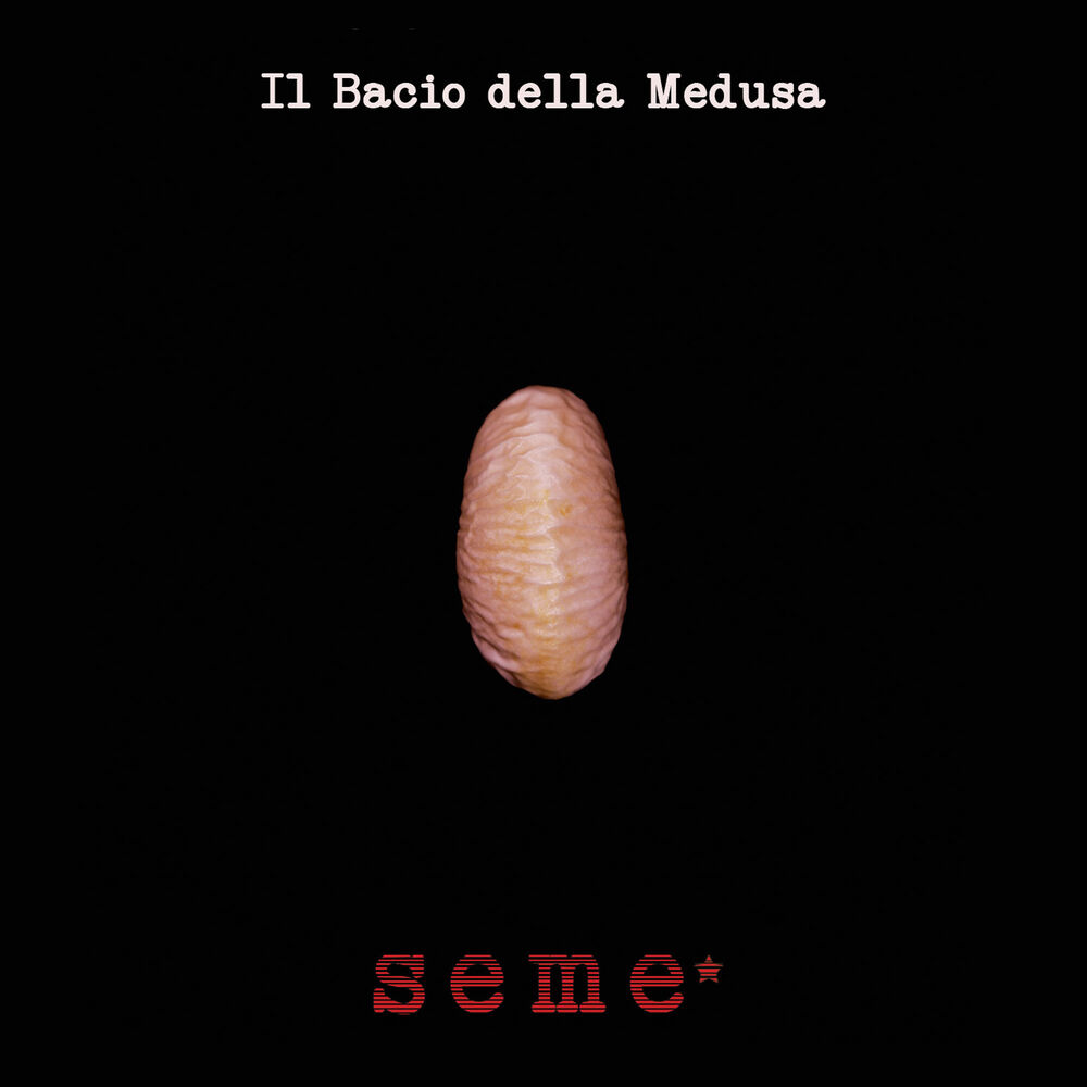 Picture of Seme*