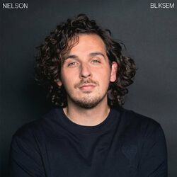 Cover of Bliksem