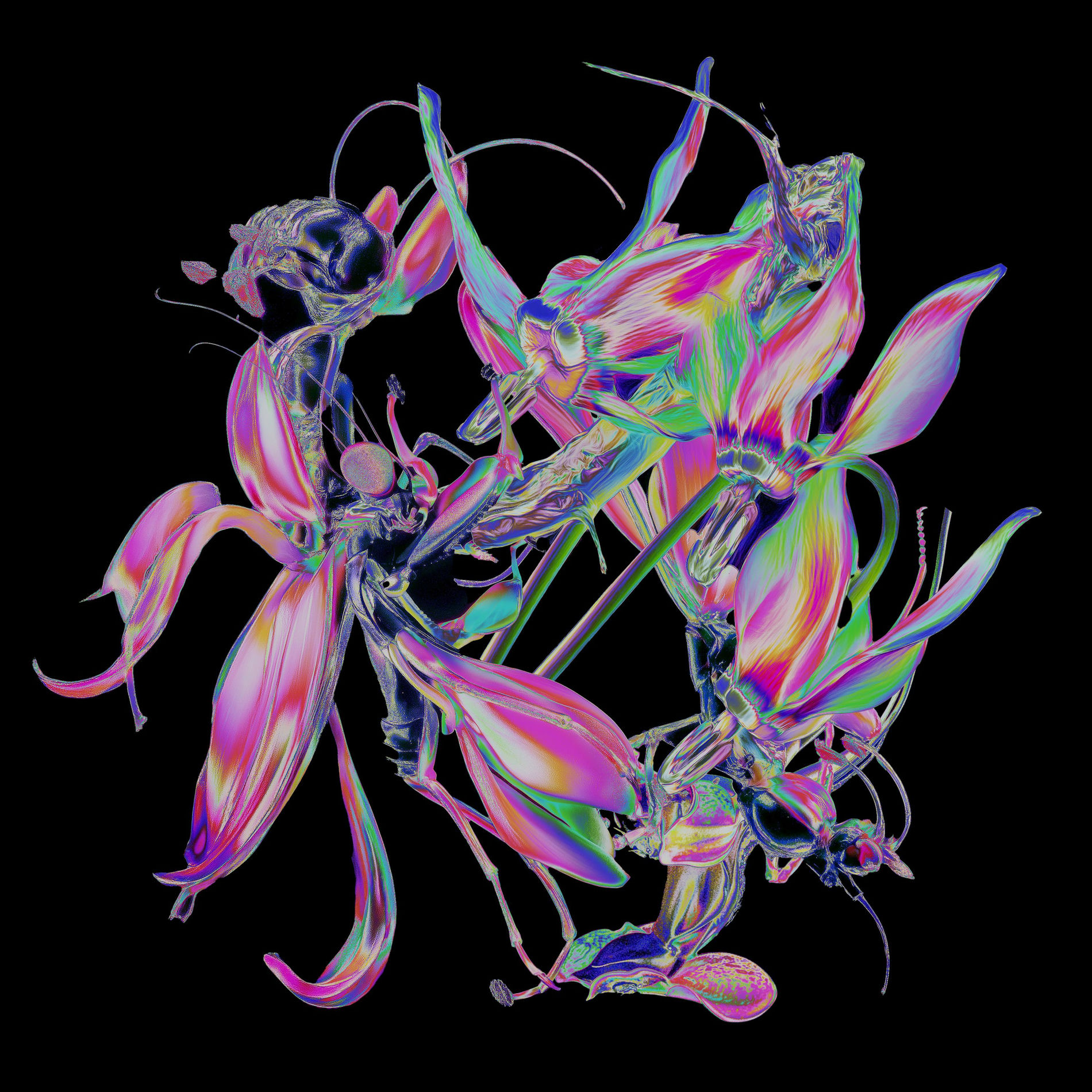 Album cover of Momentum / Drone