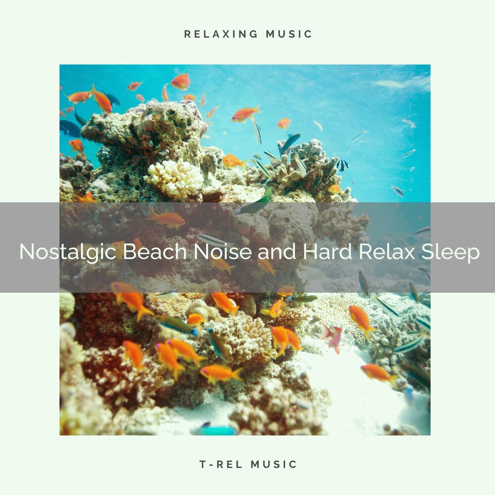 Picture of 2020 Best: Nostalgic Beach Noise and Hard Relax Sleep