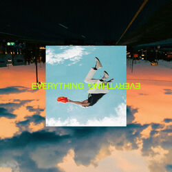 Cover of EVERYTHING EVERYTHING