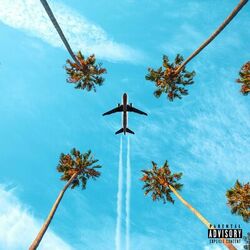 Cover of still flying