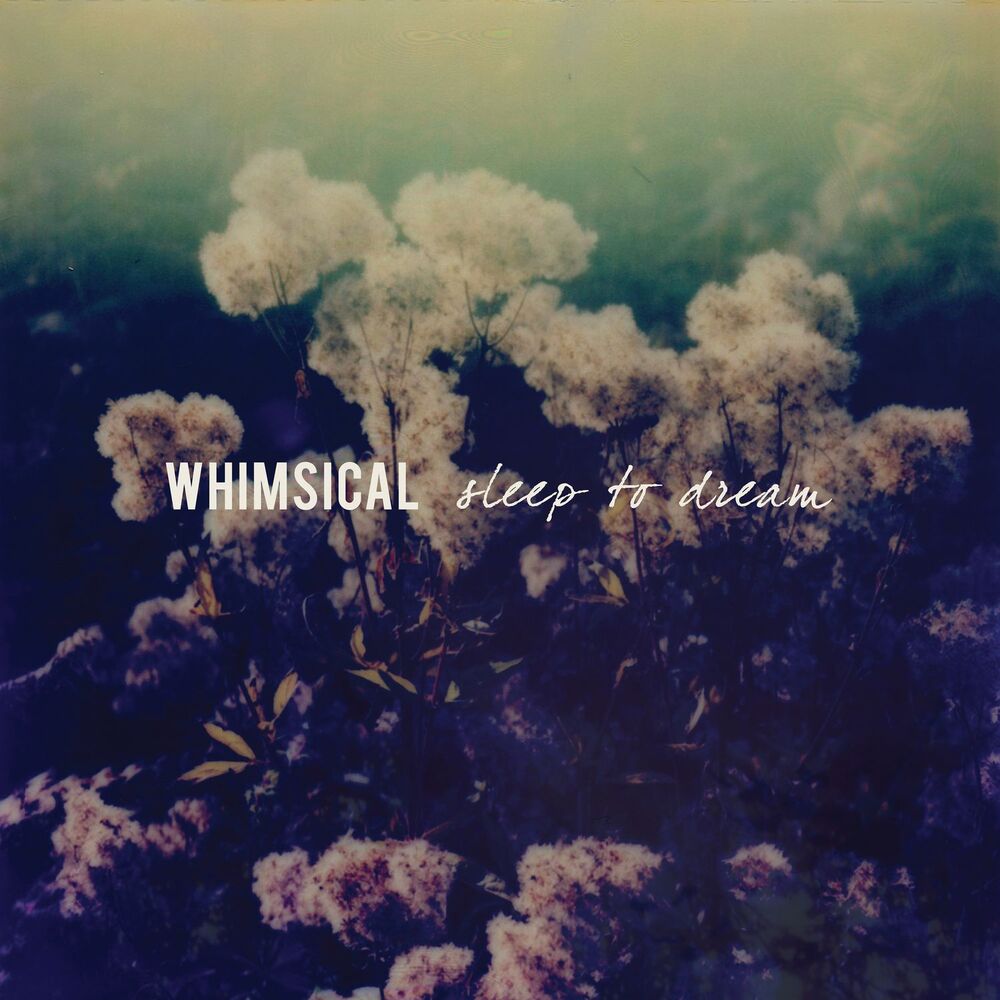 Picture of Sleep to Dream