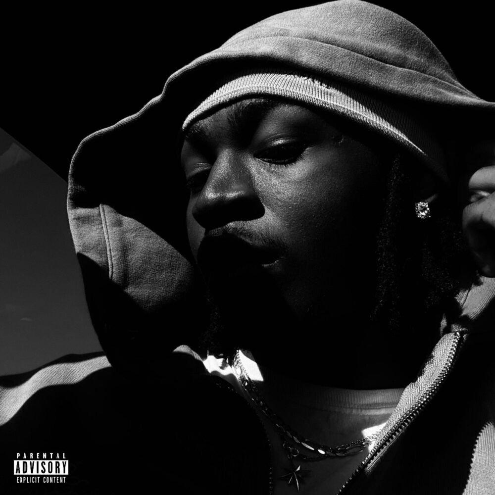 Picture of i1da