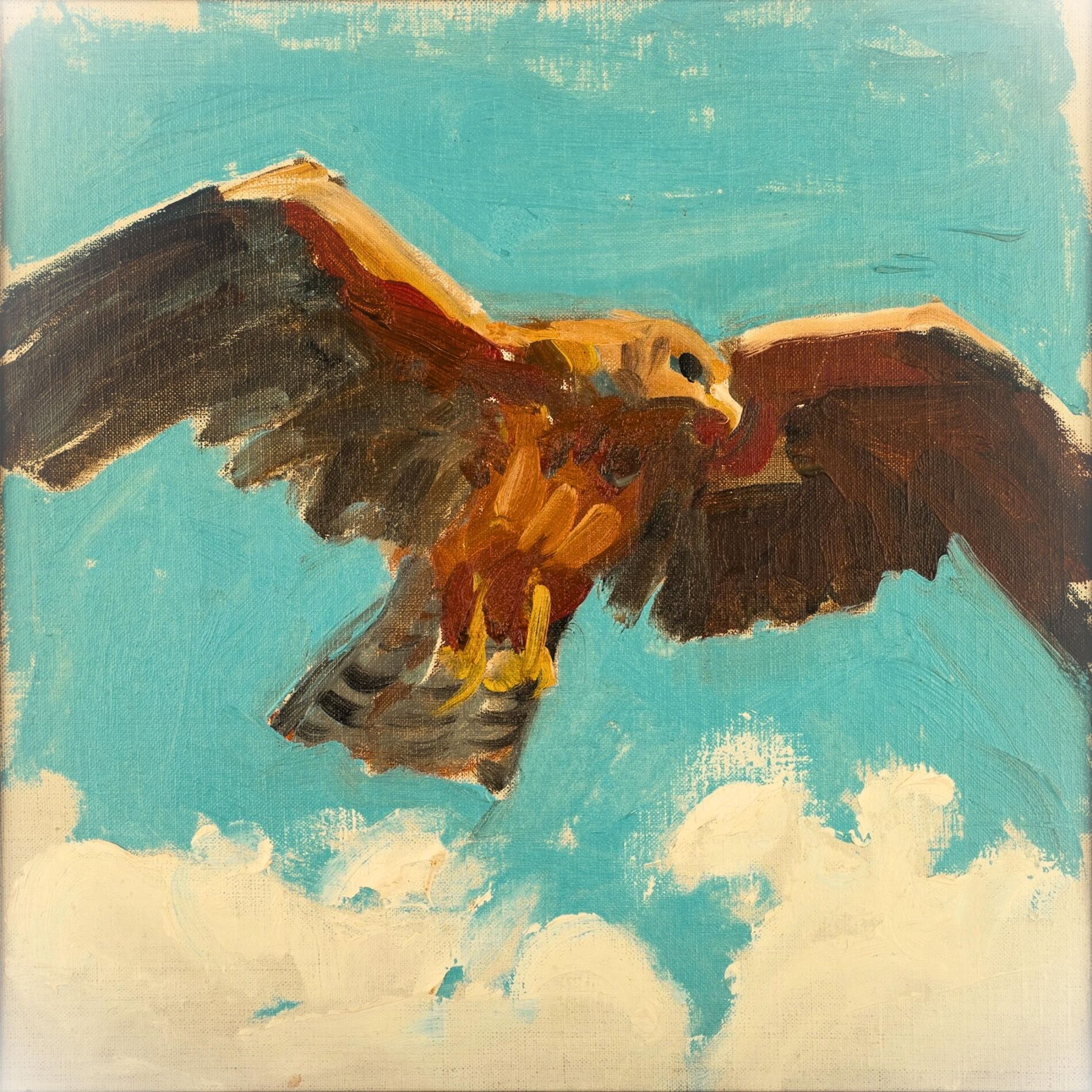 Album cover of The Falcon (feat. Vinny Marchi)