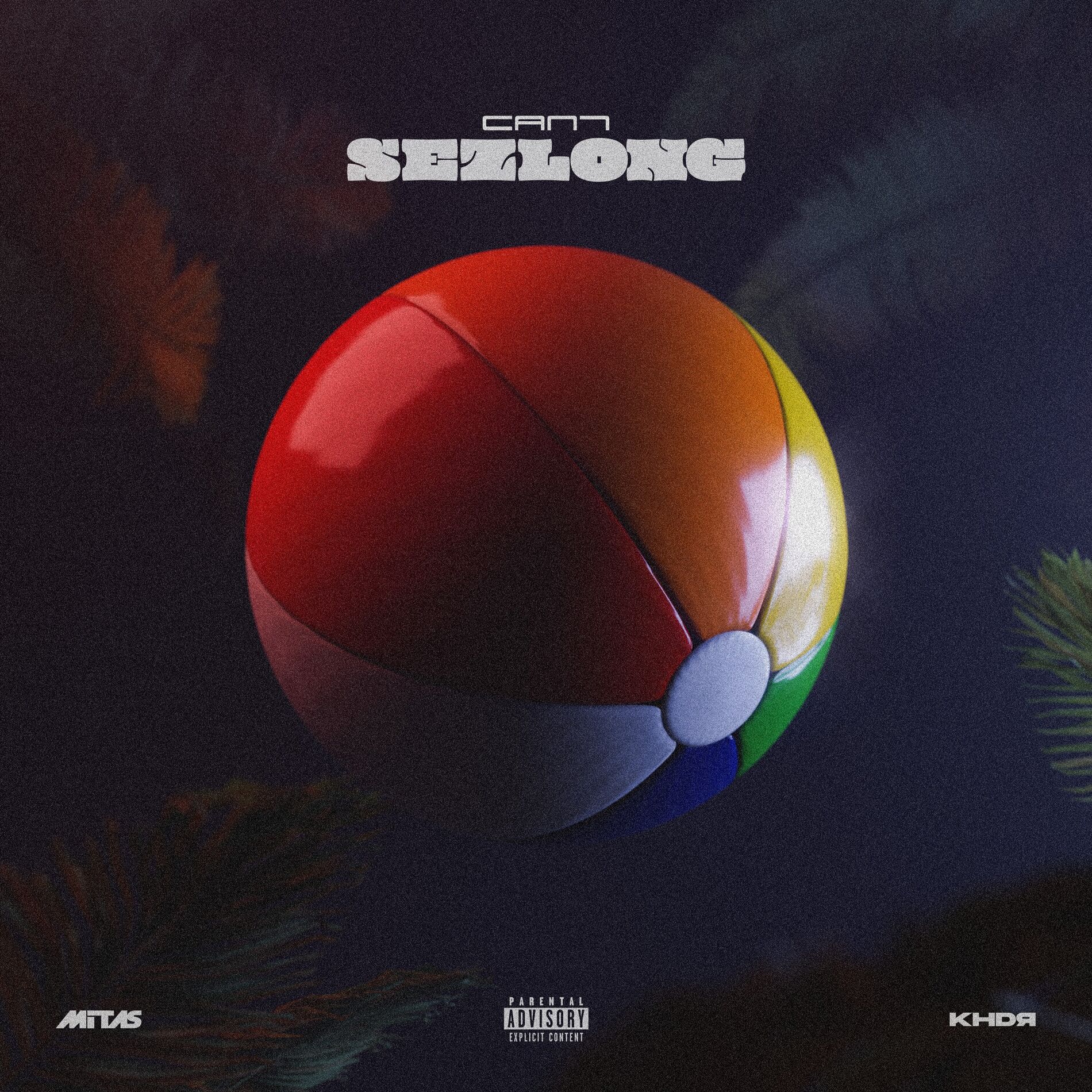 Album cover of Şezlong