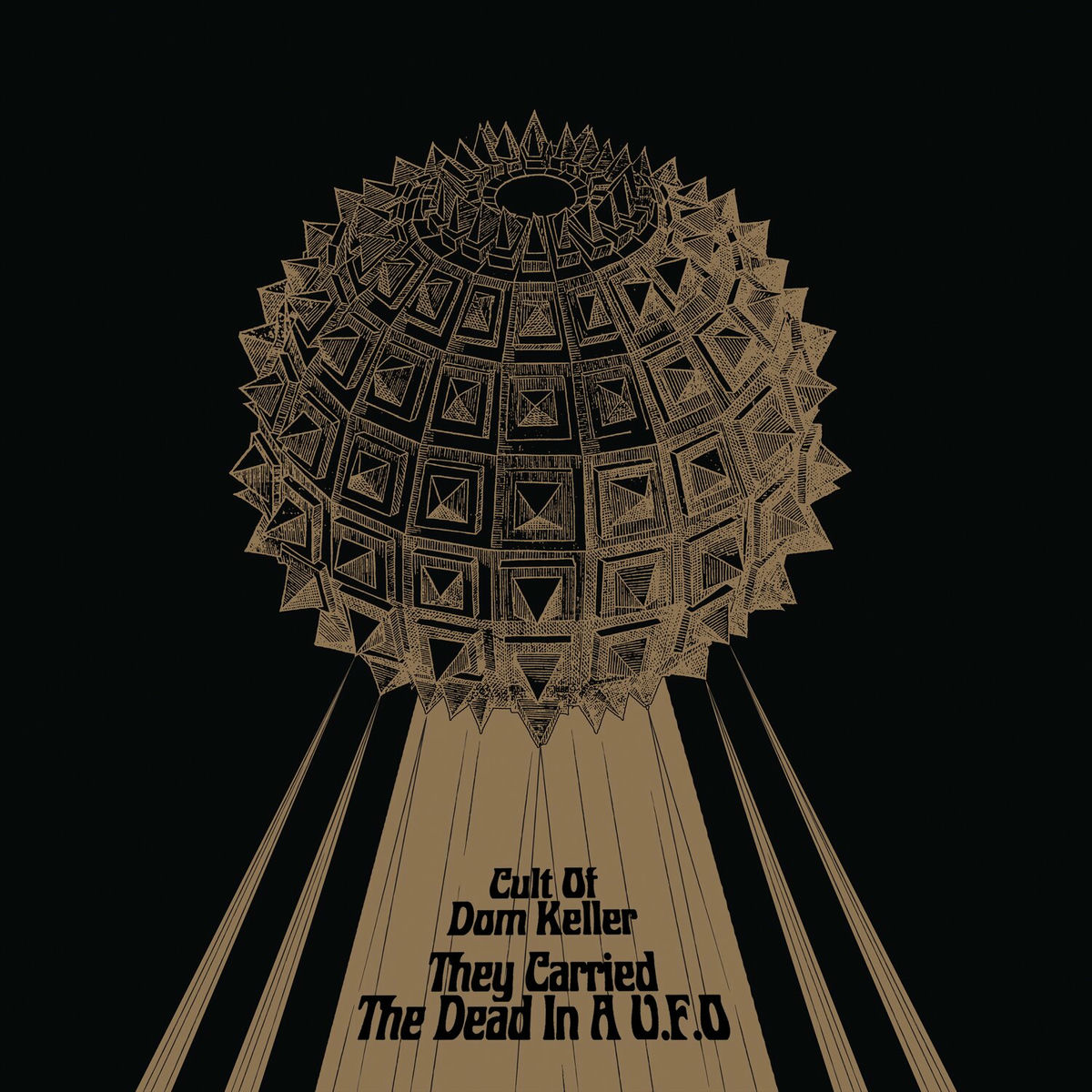 Album cover of They Carried The Dead In A U.F.O.