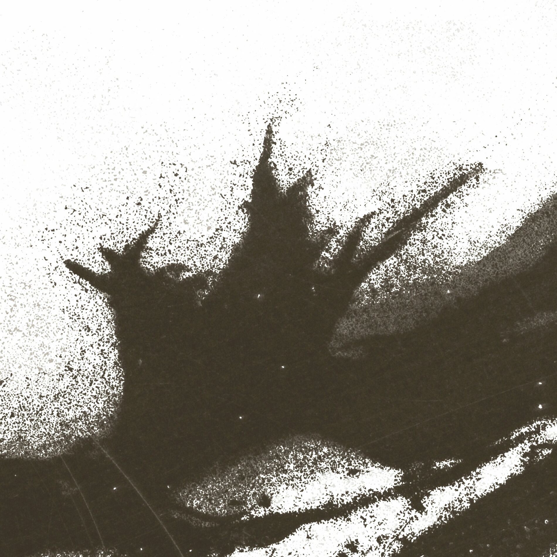 Album cover of DIYSRL RMXS