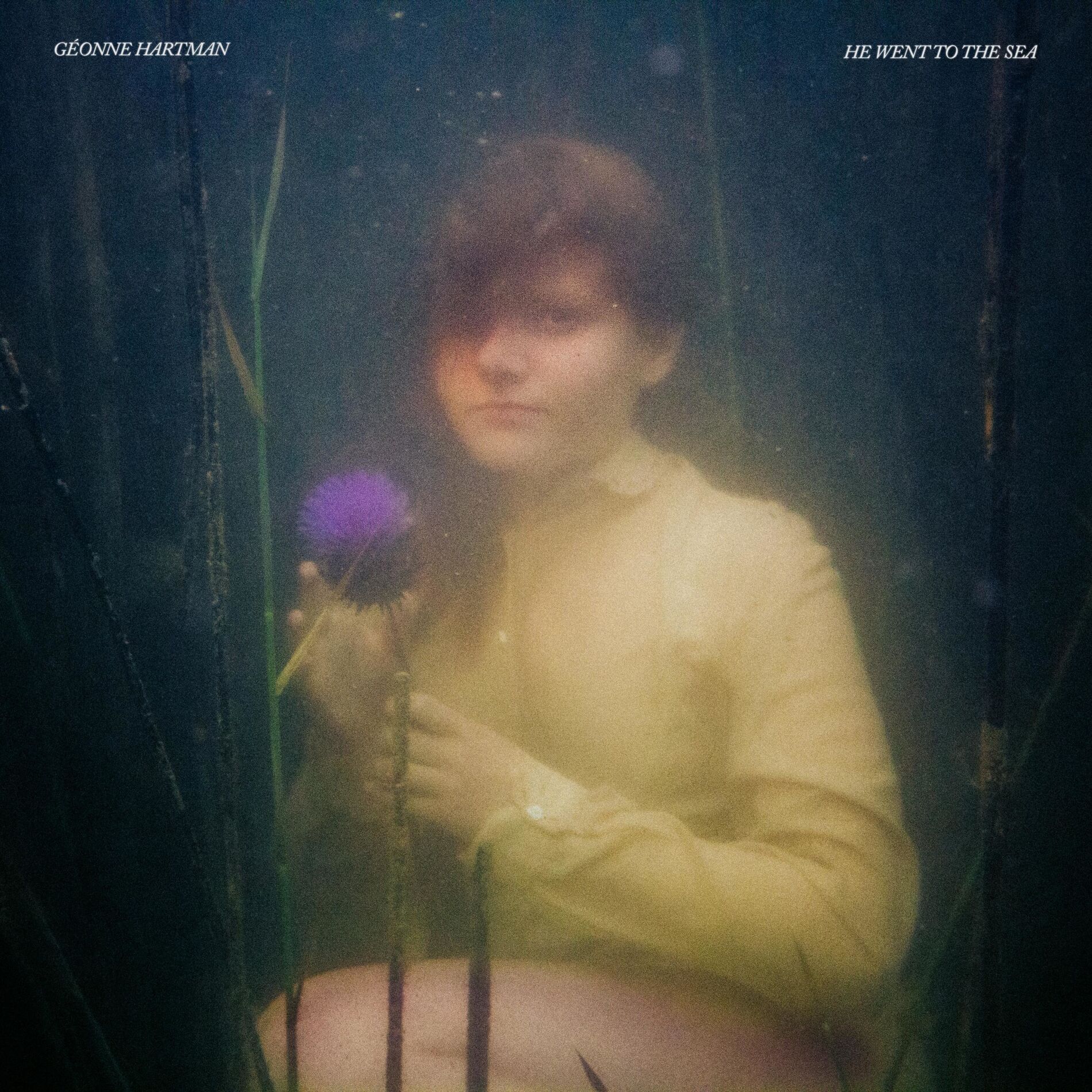 Album cover of He Went To The Sea