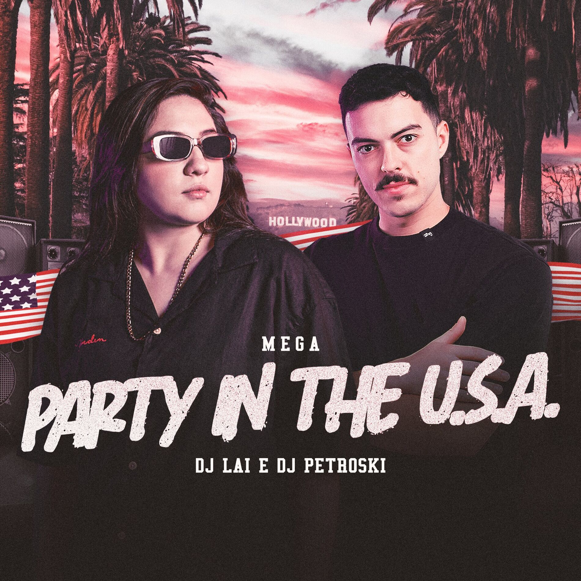 Album cover of MEGA PARTY IN THE U.S.A
