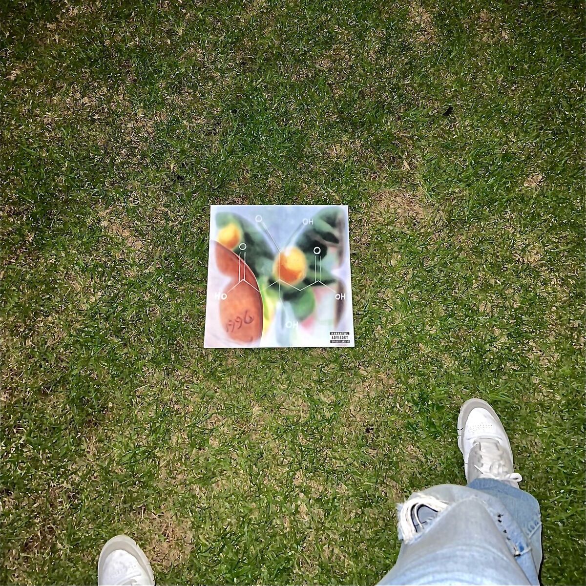 Album cover of Grass Stains