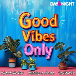 Cover of Good Vibes Only