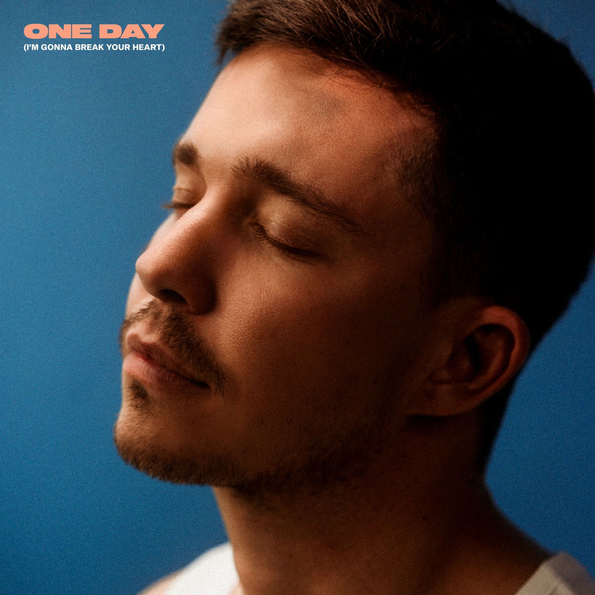 Album picture of One Day (I'm Gonna Break Your Heart)
