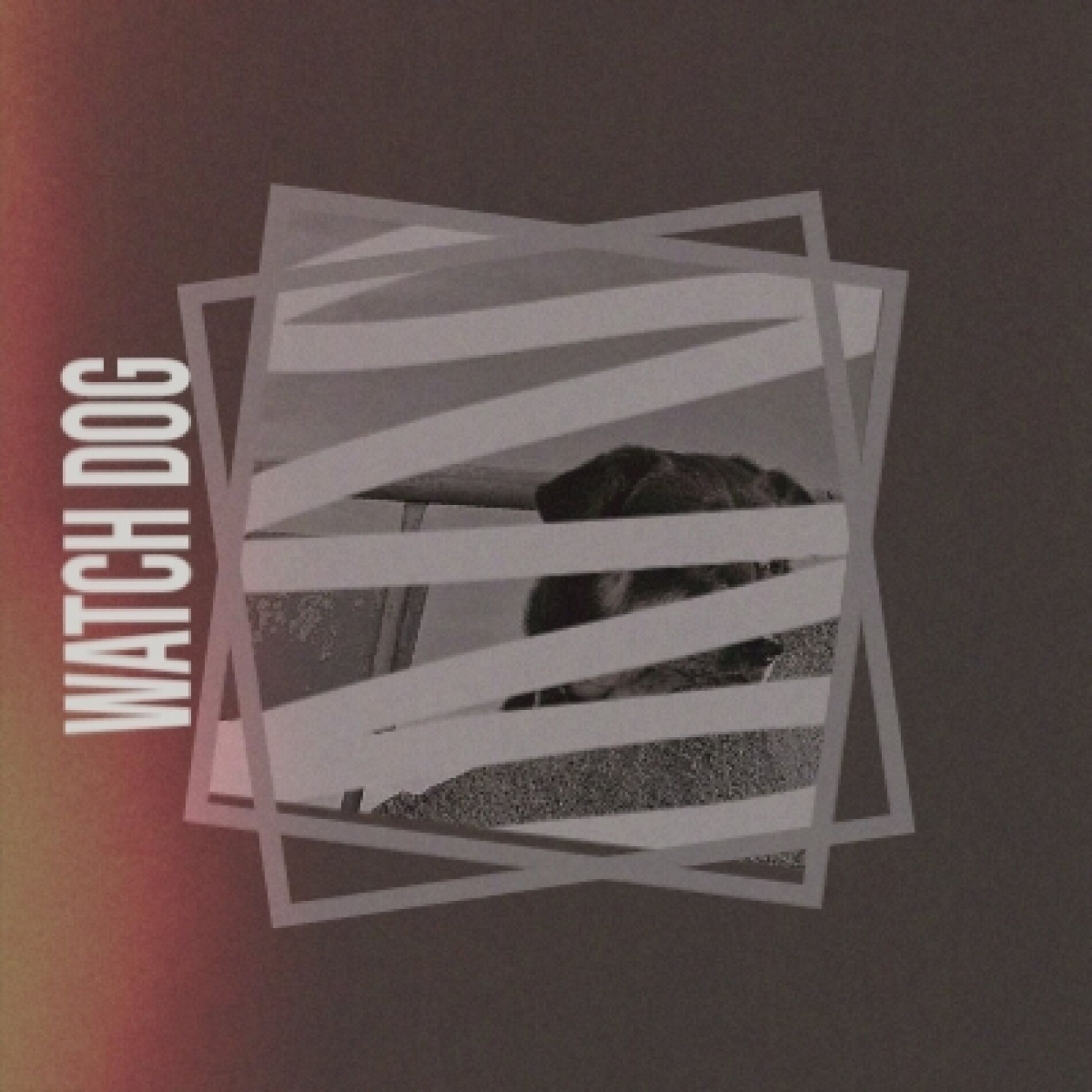 Album cover of Watch Dog