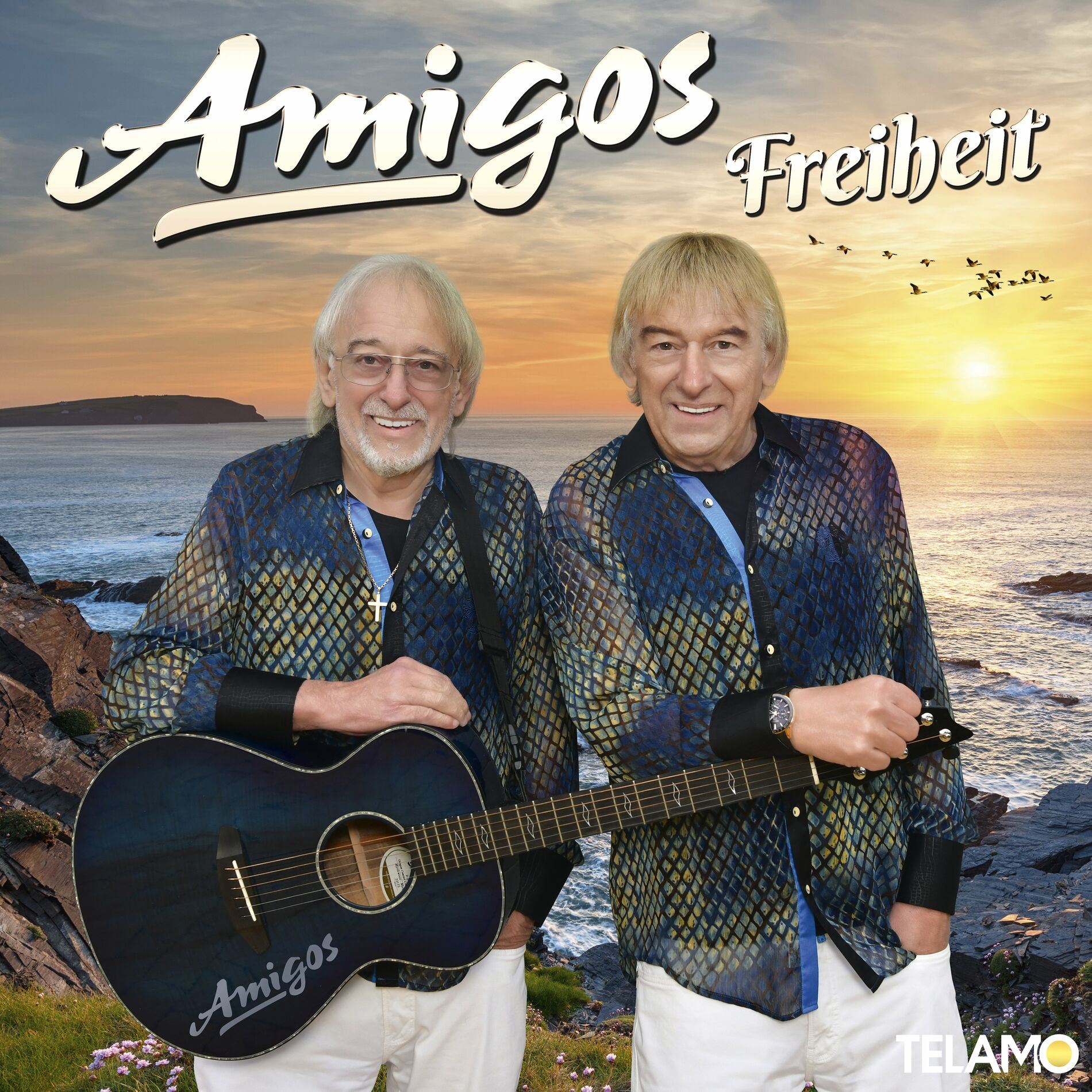 Album cover of Freiheit