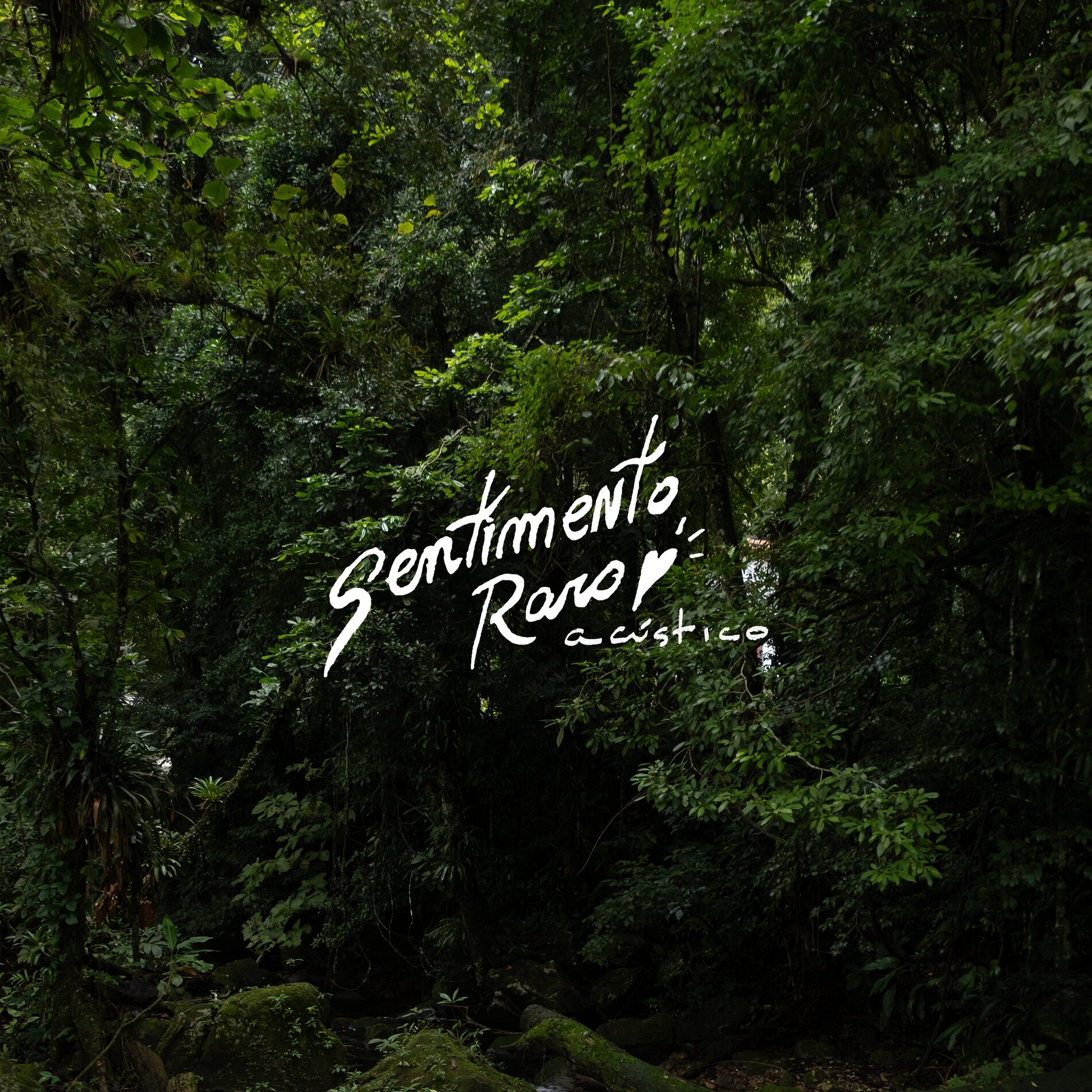 Album cover of Sentimento Raro (Acústico)