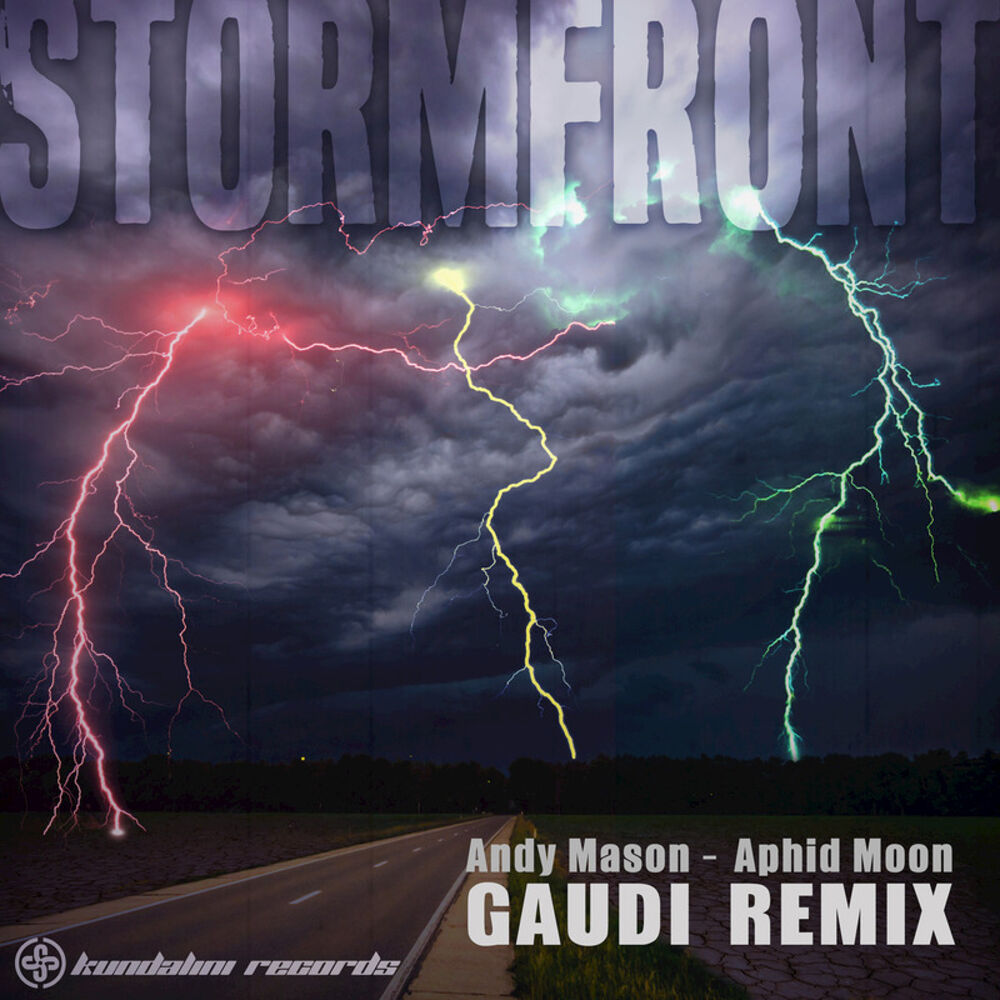 Picture of Stormfront (Gaudi Remix)