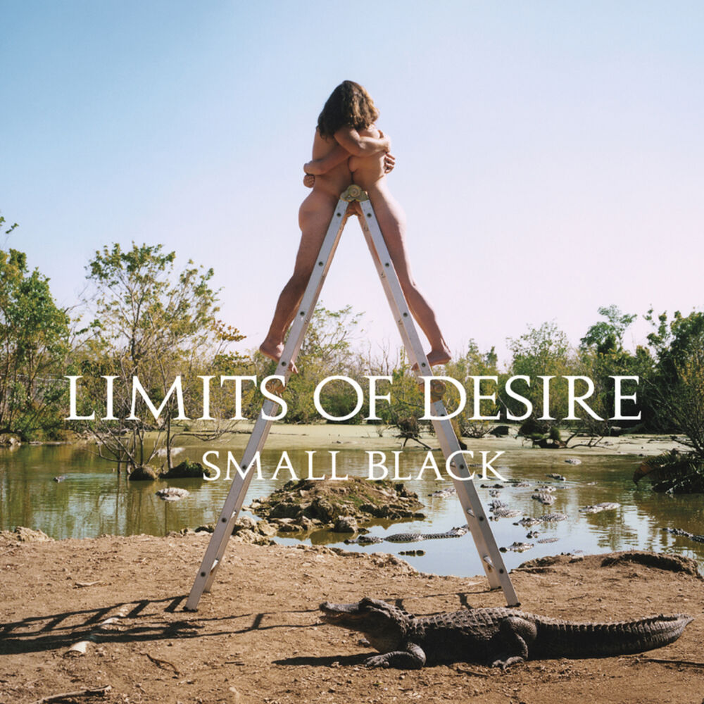 Picture of Limits of Desire