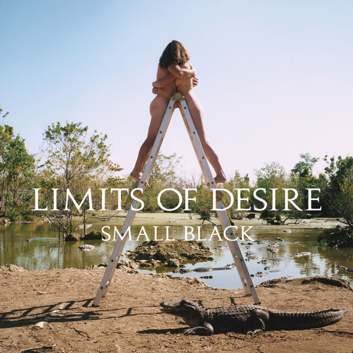 Album cover of Limits of Desire