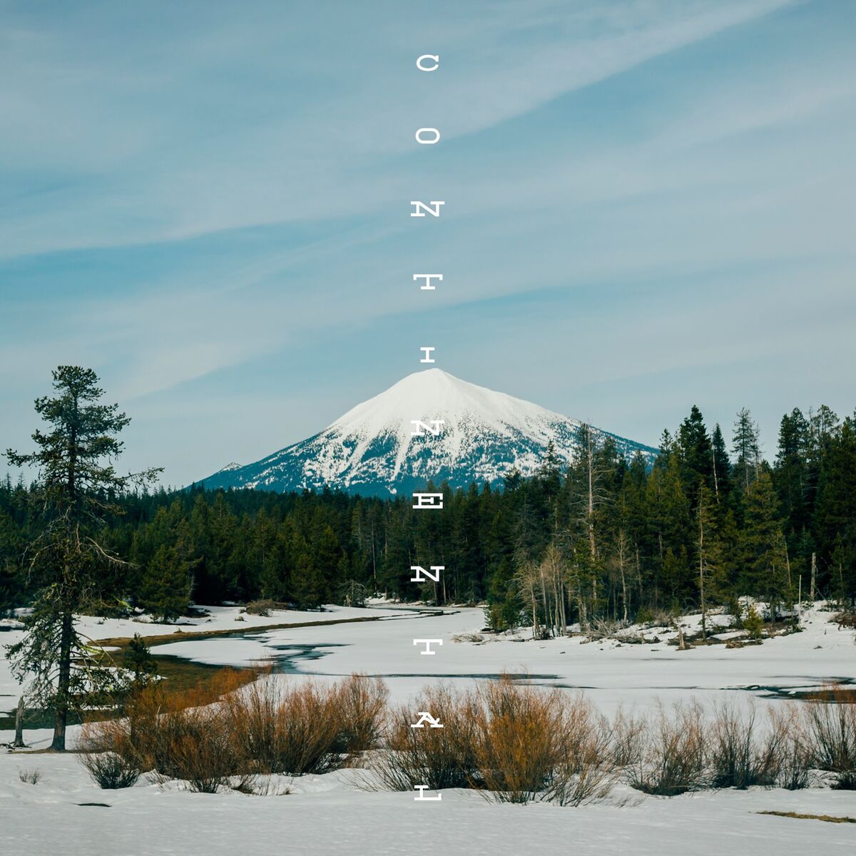 Album cover of Continental