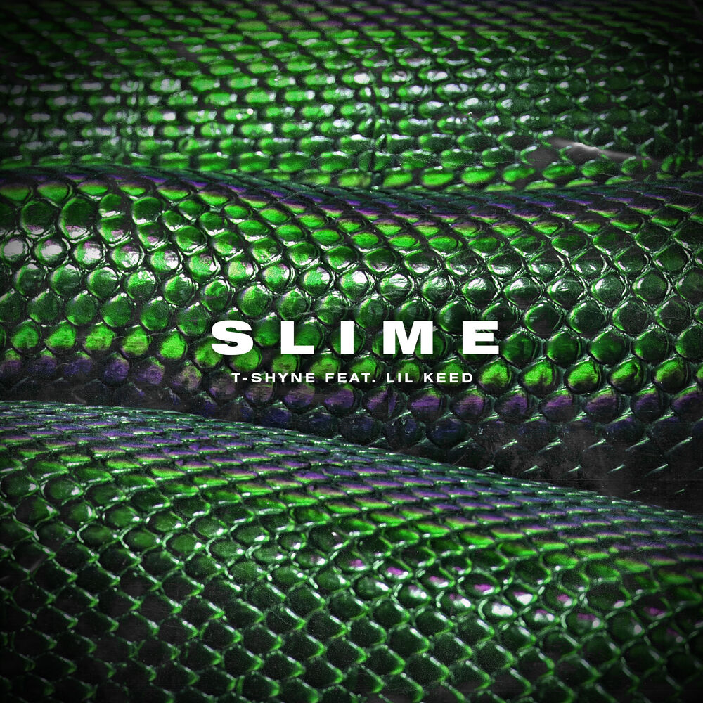 Picture of Slime