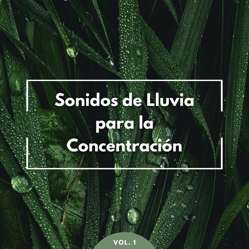 Picture of Sonidos De Lluvia Para La Concentración Vol. 1