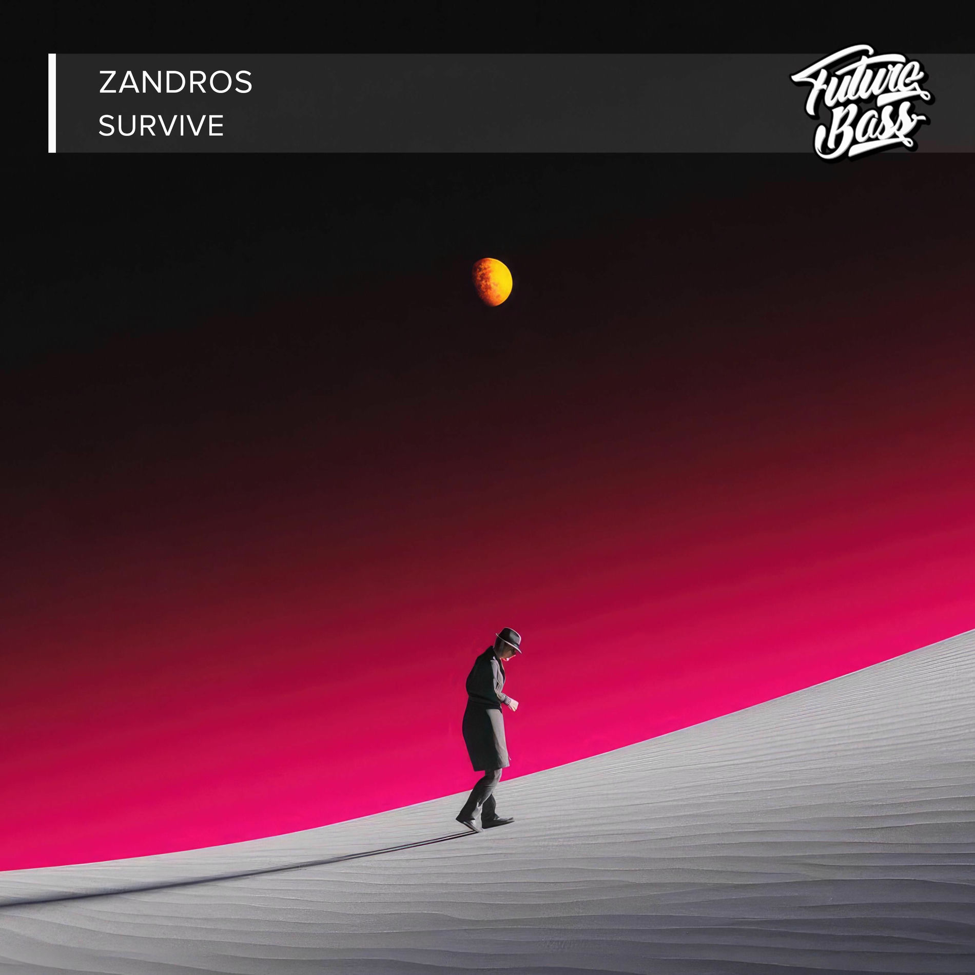 Album cover of Survive